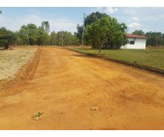 Pedreiro pintor assentamentos de piso