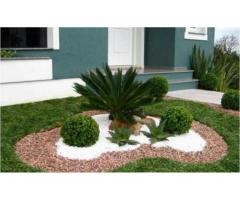 Jardineiro Profissional