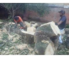 Jardineiro Profissional