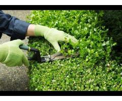 Jardineiro e serviços em geral