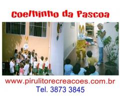 coelho da pascoa para visitas