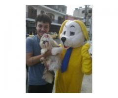 ação frente de loja, locução , locutor