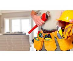 Marido de aluguel e serviços de controle de pragas